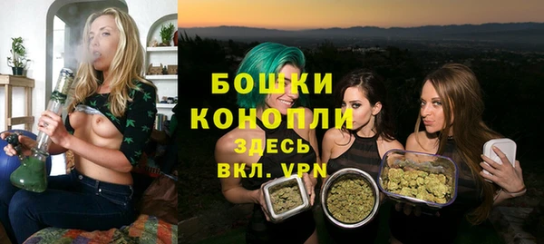 ГАЛЛЮЦИНОГЕННЫЕ ГРИБЫ Медногорск