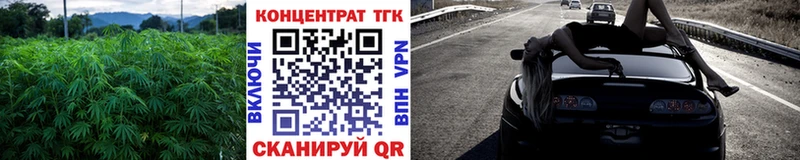 ТГК концентрат  mega   Заозёрный  как найти  