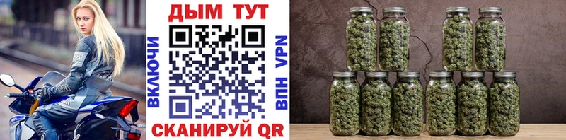 где можно купить   Заозёрный  МАРИХУАНА OG Kush 